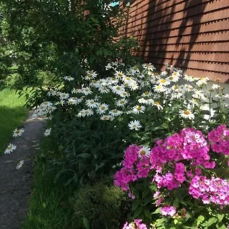 Dom wakacyjny Neuer Sigerst By Interhome *