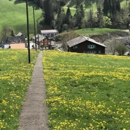 Dom wakacyjny Neuer Sigerst By Interhome Wildhaus