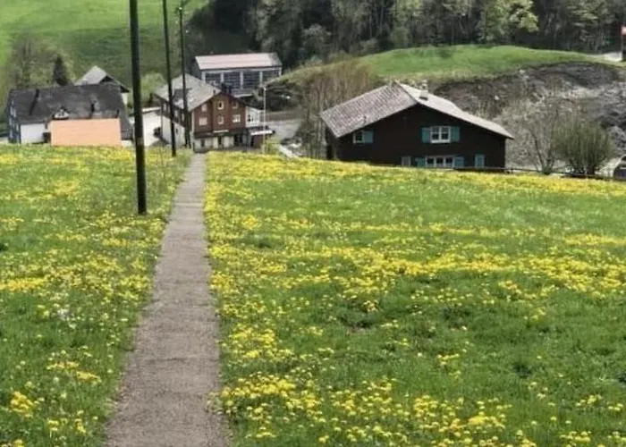 Ferienhaus Neuer Sigerst By Interhome Wildhaus